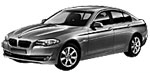 BMW F10 C2008 Fault Code
